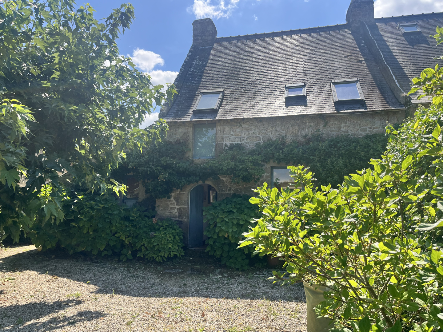property